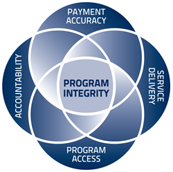 Program Integrity, Payment Accuracy, Service Delivery, Program Access, Accountability